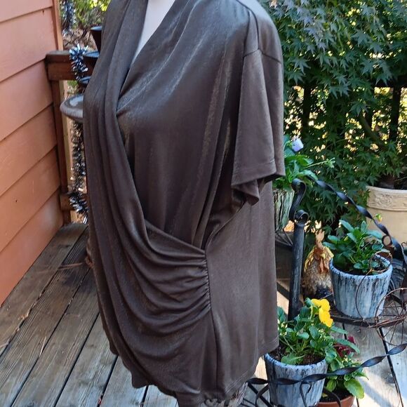 Coldwater Creek  Bronzy Top - Picture 4 of 11